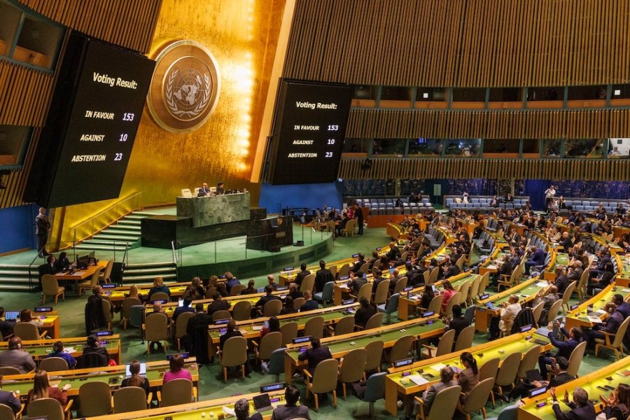 ONU: Argentina fue el único país que votó en contra de una resolución para prevenir la violencia de género