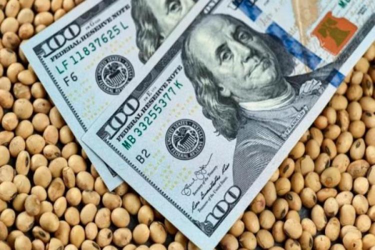 El Agro liquidó US$1.966 millones en diciembre y superó los US$25.000 millones en ingresos en 2024