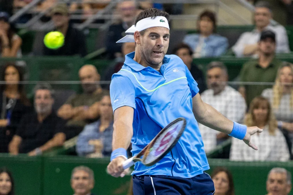 Del Potro le ganó a Djokovic y emocionó al público en su despedida del tenis