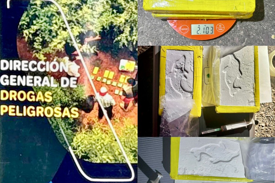 Secuestraron más de dos kilos de cocaína abandonados en la Ruta 92