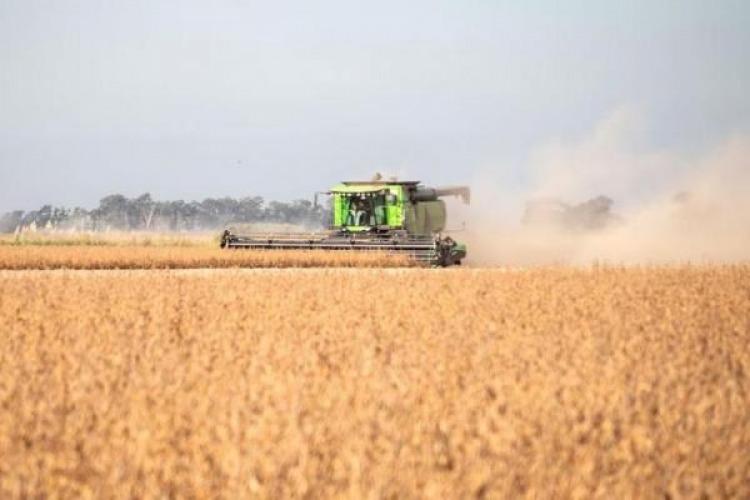 El Campo pidió “medidas urgentes” al Gobierno y advirtió que “lo peor está por venir»