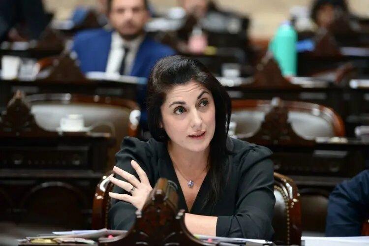 ¿Un examen de idoneidad para LLA?: el grosero error ortográfico de la diputada Santillán que se volvió viral