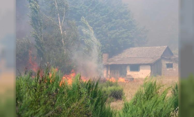 Torres responsabilizó a la RAM por los incendios en Epuyén y otras zonas de Chubut