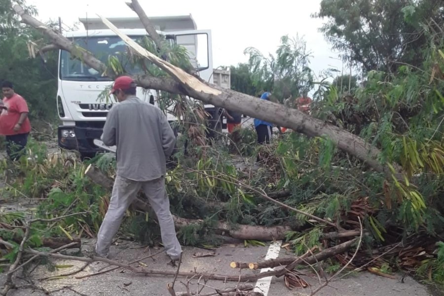 Fuerte temporal en Las Termas: Rápido accionar del personal municipal