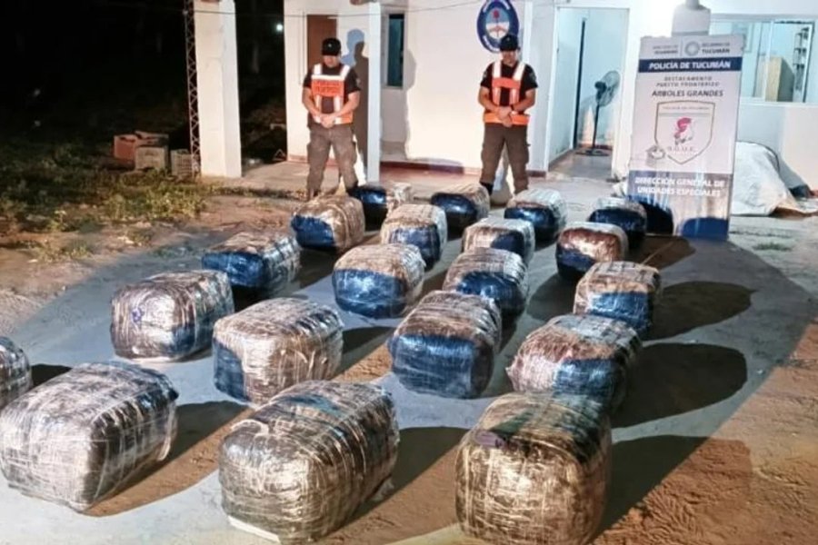 Fueron secuestrados 400 kilos de hojas de coca en el Puesto Fronterizo Árboles Grandes