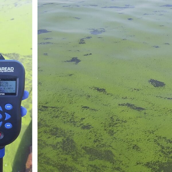 Alertan por la presencia de «verdín de algas» en el Embalse de Las Termas