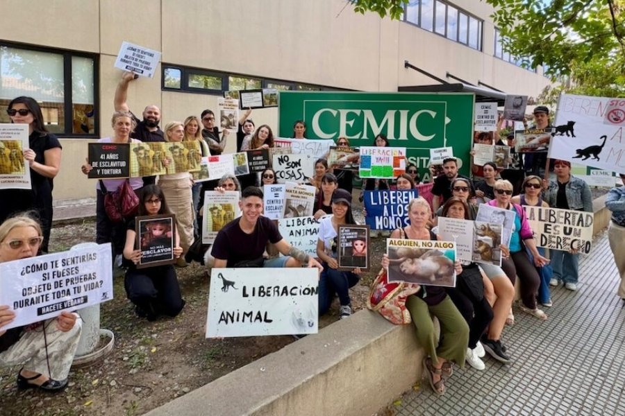 Impidieron el traslado de 50 monos usados para experimentos en el sótano de un hospital