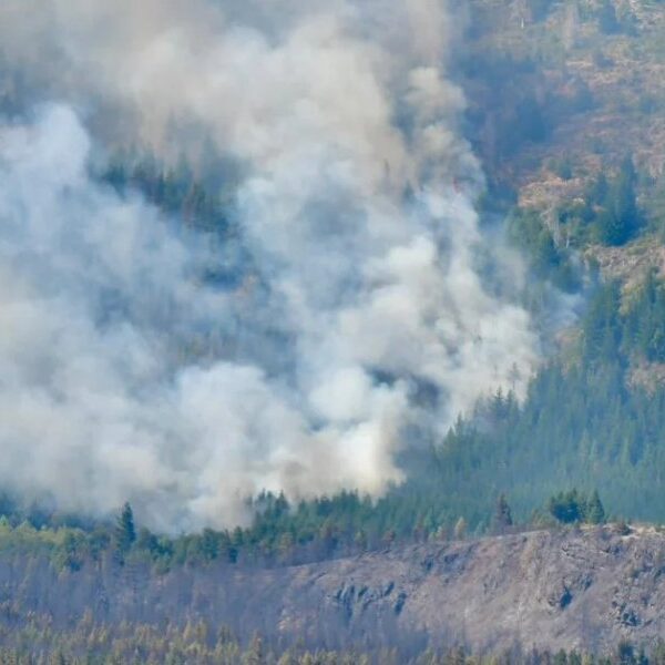 Los incendios en Epuyén y Atilio Viglione siguen activos y ya consumieron 5.000 héctareas