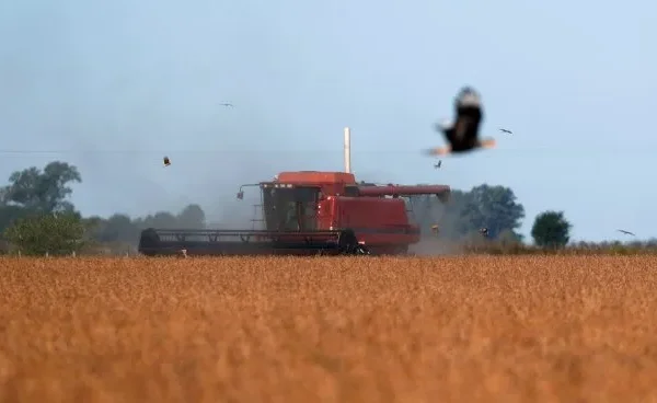 Campo: Se registraron exportaciones por más de u$s2.500 millones en el último mes