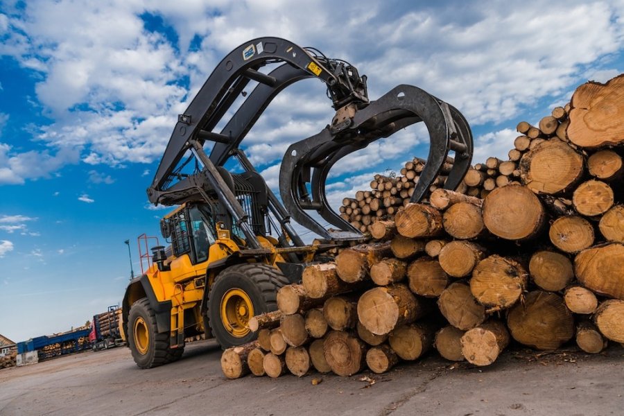 2024: La industria tuvo una caída de un 9,4% y la construcción cayó un 27%