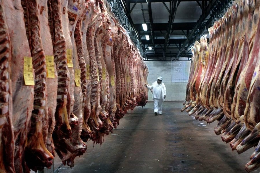 Fuerte desplome en exportación de carnes: En enero cayó un 25,4% respecto a 2024