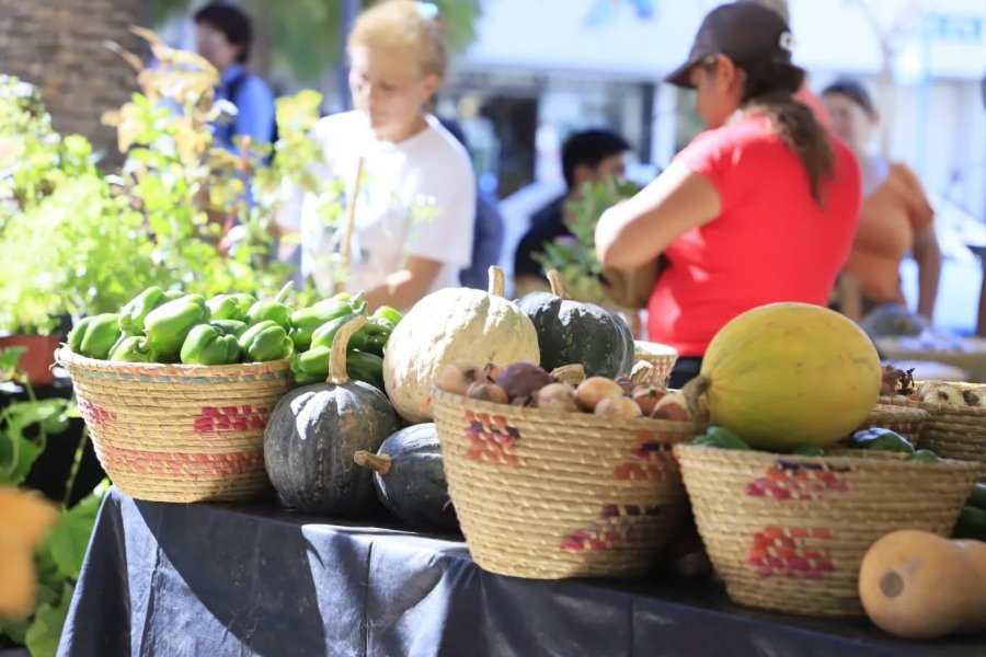 La Feria itinerante de Termas promueve la producción y conciencia ambiental