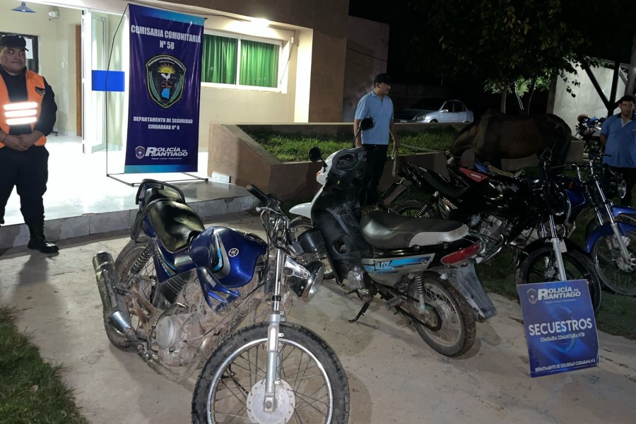 Realizaron un operativo integral de control vehicular y de animales sueltos