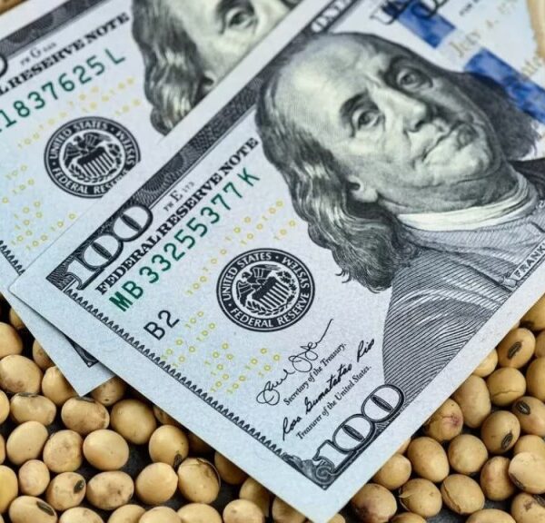 Ingreso de divisas: Proyectan que el agro aportaría US$30.800 millones en 2025