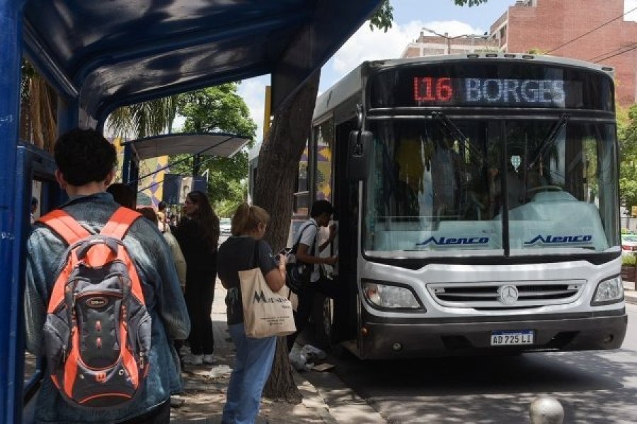 Estos son los requisitos para el carnet escolar