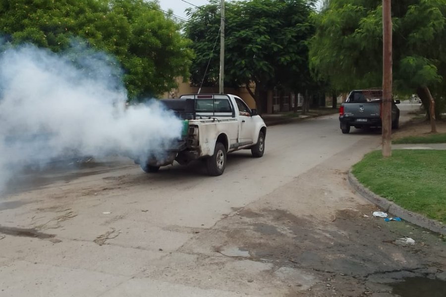 Fumigaciones preventivas contra mosquitos en la Capital