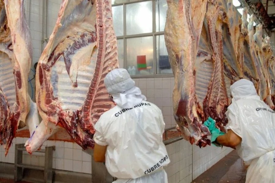 Sube la carne pero los trabajadores de frigoríficos paran por bajos salarios