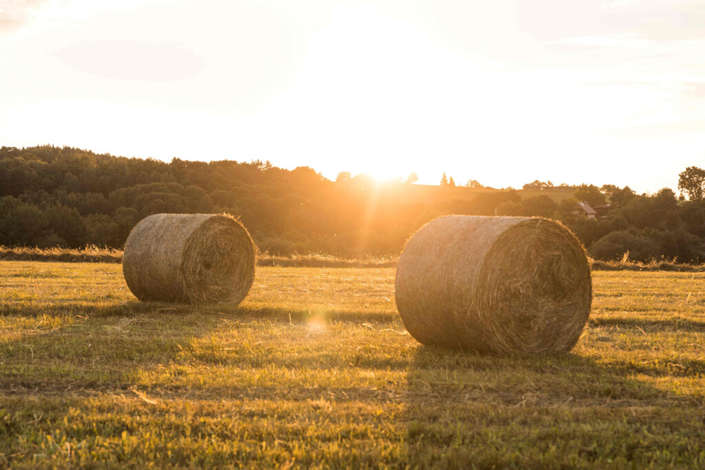 Mercado inmobiliario rural: cuáles son las zonas más demandadas este año y por qué?