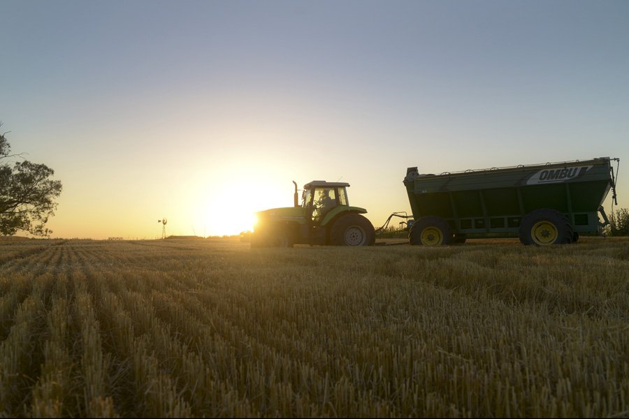 Todas las miradas puestas en el agro: ¿A cuánto puede abrir el dólar este lunes?