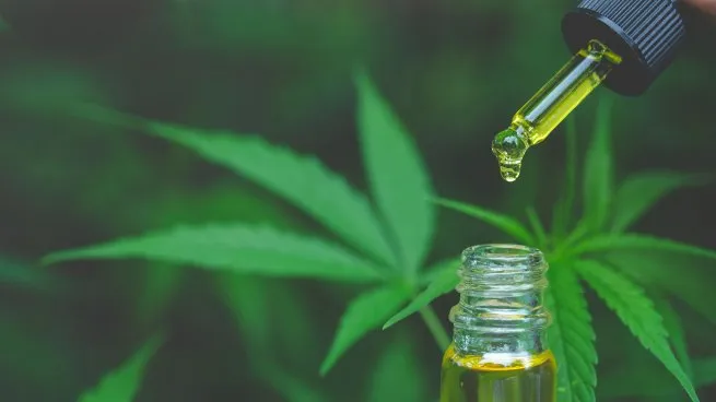 Cannabis medicinal: el Gobierno modificó los requisitos para inscribirse en el programa
