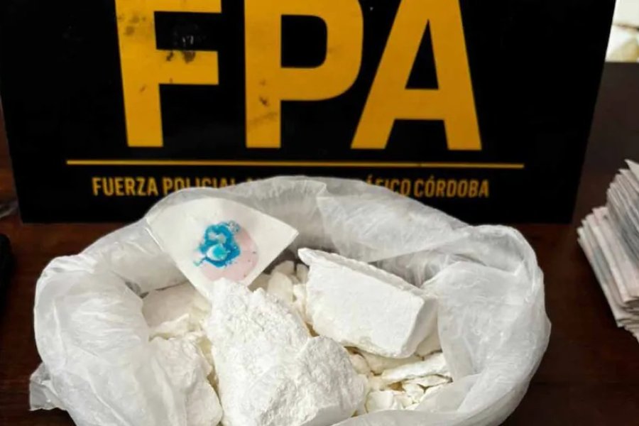 Alerta por el hallazgo de una combinación de cocaína con “tranq” y otros sedantes veterinarios