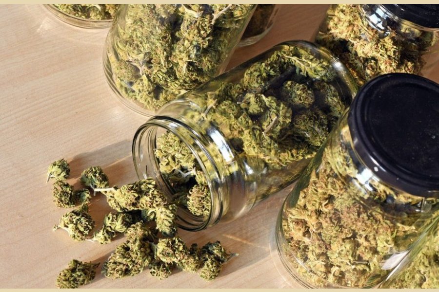 B° Panorámico: Secuestraron más de cinco kilos de marihuana en casas de Ojo de Agua
