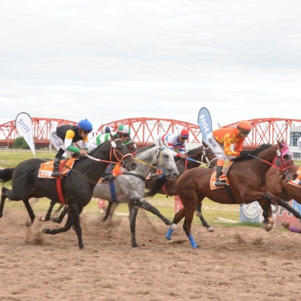 Imperdible reunión de turf el próximo domingo en el hipódromo 27 de Abril