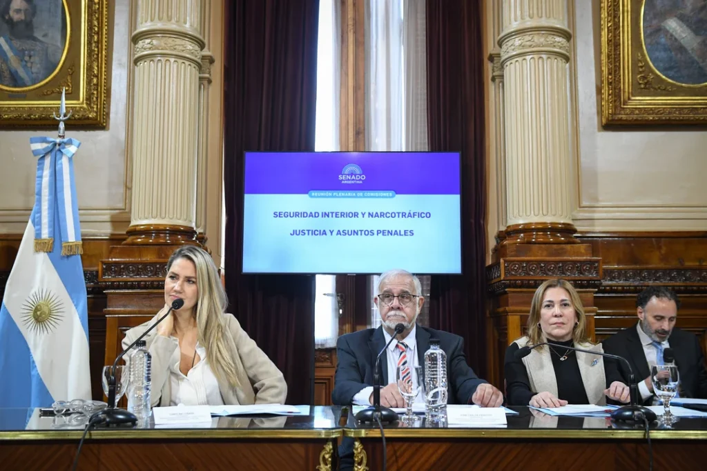 Avanza en el Senado la unificación de leyes sobre personas desaparecidas y el sistema de Alerta Sofía