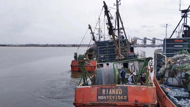 Nuevo conflicto en la industria pesquera: las cámaras empresariales denuncian pérdidas millonarias y los trabajadores reclaman por el derecho al descanso