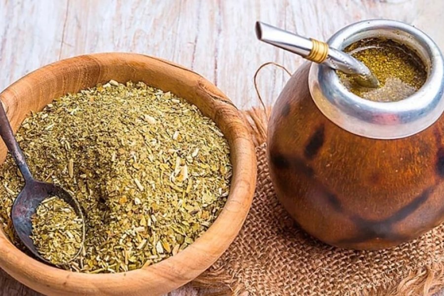 Argentina lanza la primera escuela dedicada exclusivamente al estudio de la yerba mate