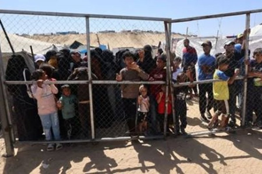 Gaza: La ONU pide investigar las muertes de civiles que intentaban obtener comida