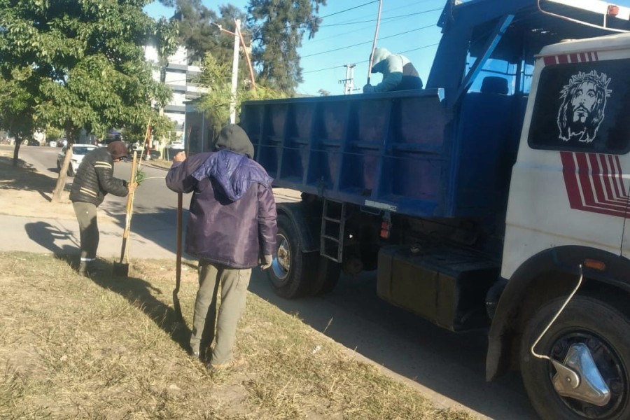 Comenzó el plan de forestación 2025: Plantarán más de 2.000 árboles en barrio Alberdi