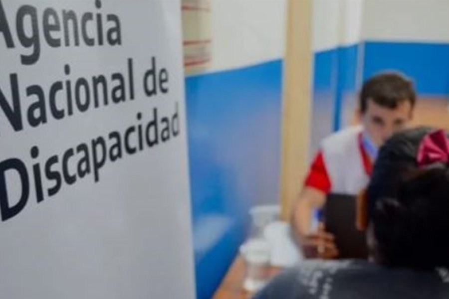 Se dieron de baja el 35% de las pensiones no contributivas
