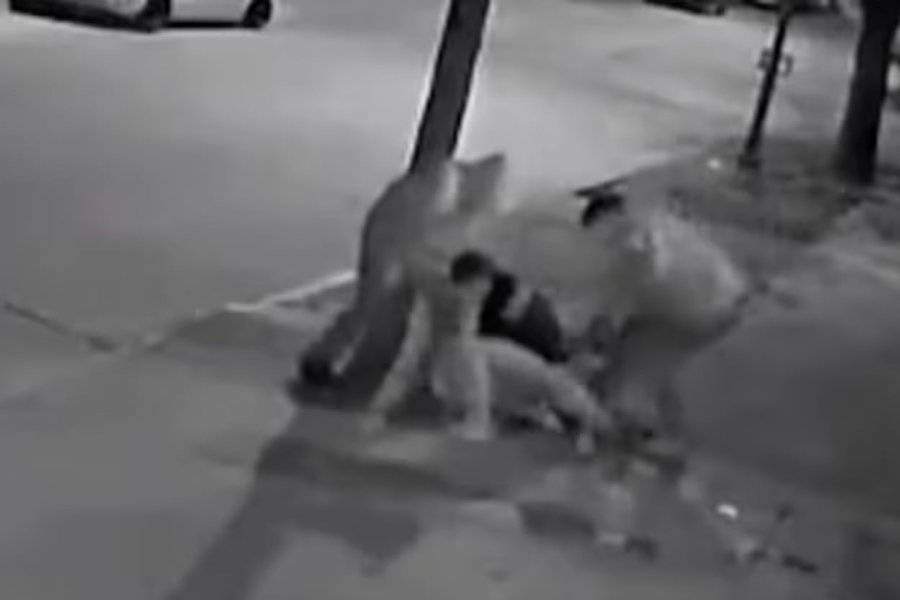 Pidieron la detención del hijo de un diputado libertario por la brutal golpiza a un joven