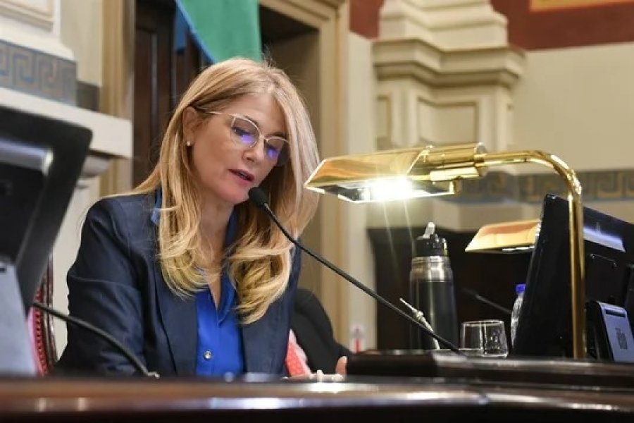 El Senado bonaerense aprobó las reelecciones indefinidas para legisladores