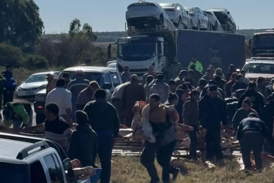 Camión con carne volcó en la ruta y fue saqueado por vecinos