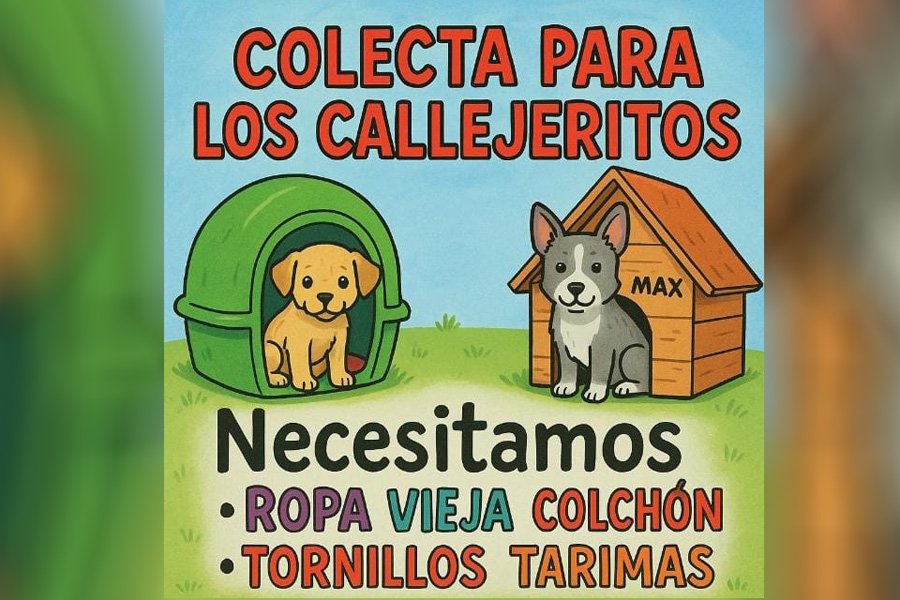 Solidaridad en Santiago: Crean grupo de WhatsApp para colecta a favor de «los Callejeritos»