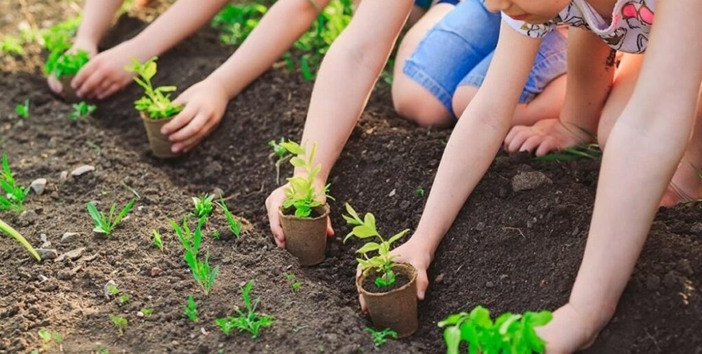 Día Mundial del Medio Ambiente