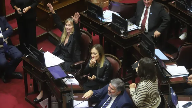 Senado: presentaron un proyecto para repatriar el 50% de los fondos de funcionarios declarados en el exterior