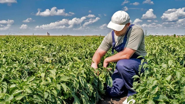 El Gobierno y la Rural sellaron un acuerdo para que la ANSES vaya directo al campo