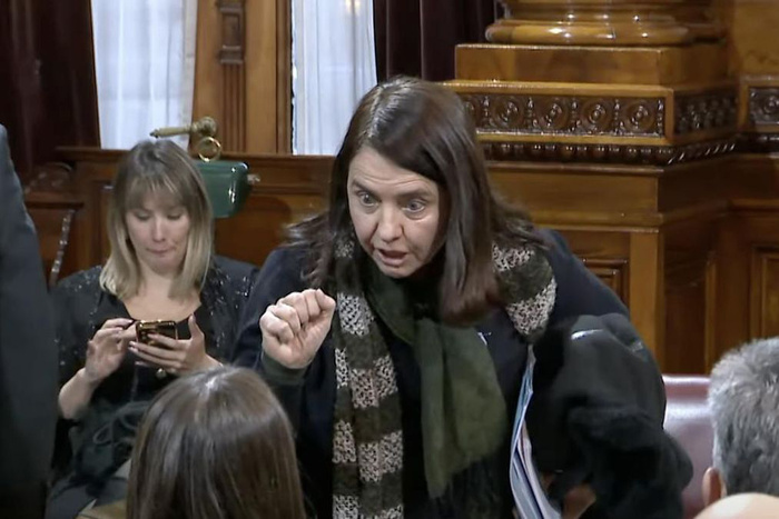 Senado: El papelón de Carmen Alvarez Rivero cuando intentó levantar la Comisión de Trabajo