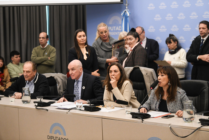La oposición obtuvo dictamen en comisión para declarar la emergencia del Garrahan