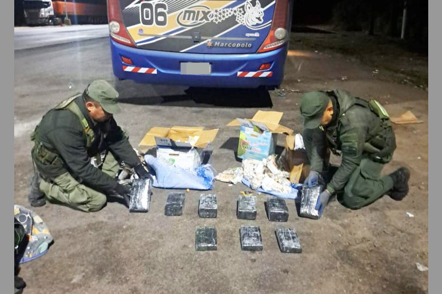 Rapelli (Pellegrini): Incautaron casi 50 kilos de cocaína en colectivos