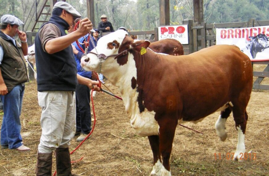 Llega una nueva expo de Santiago Productivo al Vivero San Carlos