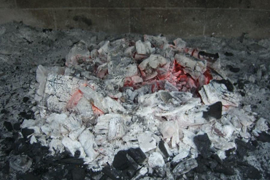 ¿Qué hacer con la ceniza del asado? Tres ideas sustentables para reutilizarla en casa con fin práctico