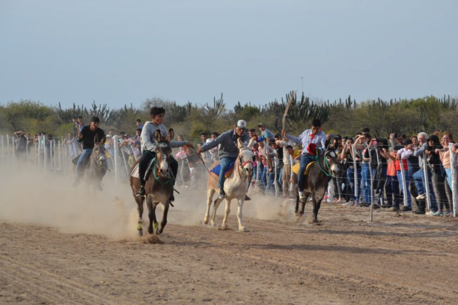 Nueva edición de la Expo Rural y el Rally de Burros en Vaca Human