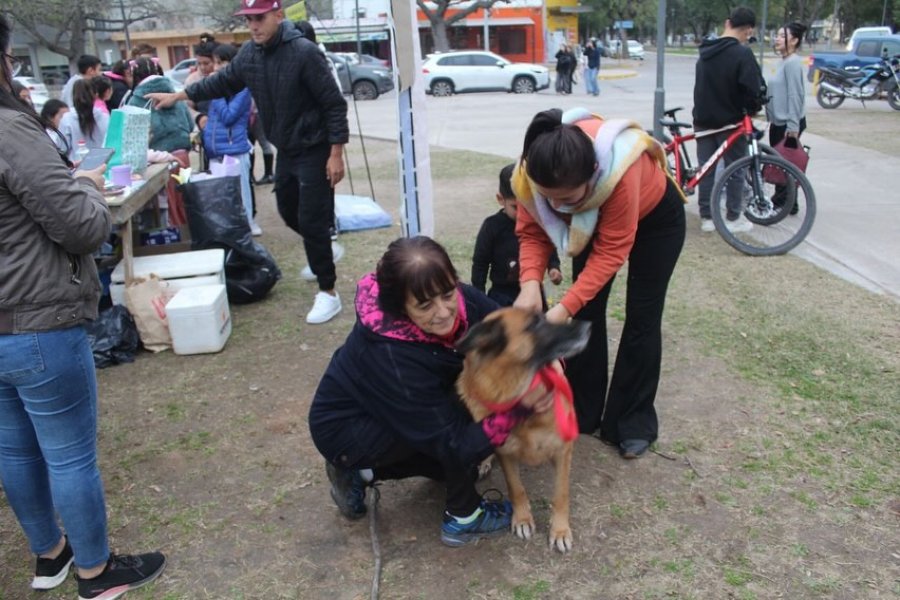 Las Termas: Jornada de concientización para evitar el maltrato y abandono de perros
