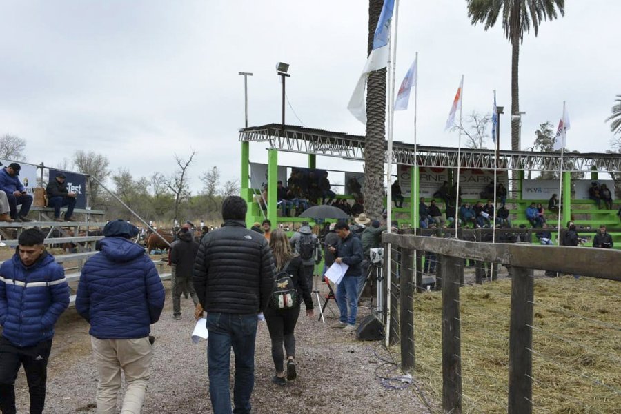 Santiago Productivo: Producción con raíces santiagueñas y mirada al futuro