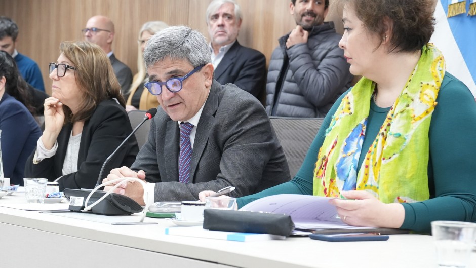 Diputados de todos los bloques acordaron exigir informes a Lugones por la falta de controles al fentanilo