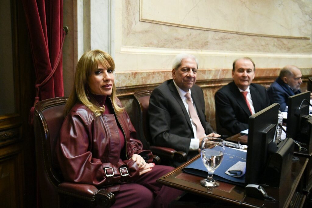 La senadora Claudia Zamora participó de la sesión en la que el Senado convirtió en ley la emergencia sanitaria de la salud pediátrica y el financiamiento universitario